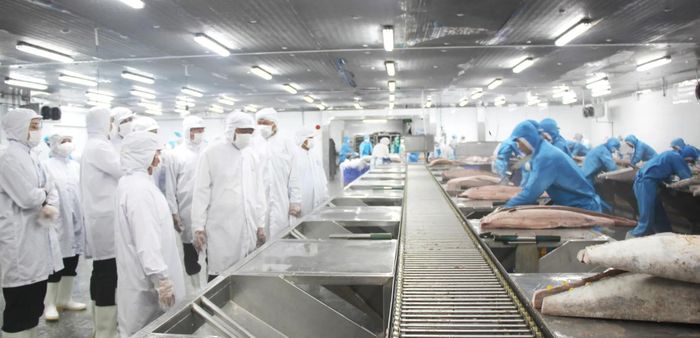 Đoàn tham quan quy trình sản xuất chế biến xuất khẩu của Công ty TNHH Thủy sản Trang Thủy