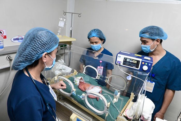 Trong lồng ấp nhỏ bé, một sự sống đang được níu giữ bởi đôi tay và sự tận tụy của bác sĩ Hân và các cộng sự.