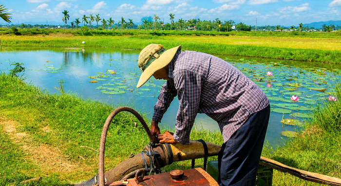 Ông Võ Văn Minh đang bơm nước vào các sào ruộng trồng sen của gia đình. Ảnh: Tấn Thành.