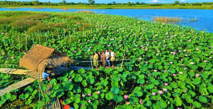 Người dân check in ở cánh đồng sen ở sông Đầm. Ảnh: Tấn Thành.