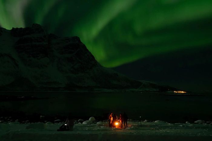 Một tour ngắm cực quang có hướng dẫn viên tại Grotfjorden, gần Tromso (Na Uy), vào tháng 2.