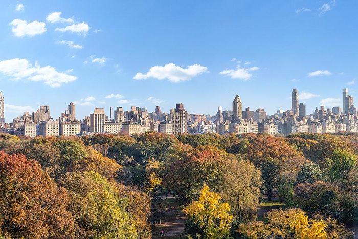 Từ năm 1999, Bezos chi 7,65 triệu USD mua 3 căn hộ tại tòa nhà The Century, nhìn ra Central Park. Sau đó, ông tiếp tục mở rộng với nhiều căn hộ liền kề. Đến năm 2020, danh mục bất động sản của ông tại khu vực Madison Square Park đã đạt giá trị khoảng 119 triệu USD, bao gồm penthouse ba tầng với phòng tiệc lớn, thư viện và cả phòng quan sát riêng. Ảnh: Allyson Lubow.