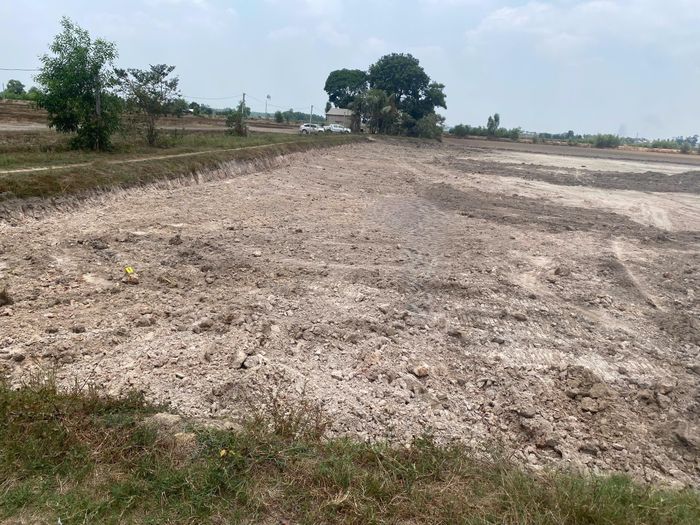  Hiện trường nơi đất mặt ruộng bị khai thác trái phép. Ảnh: CATN 