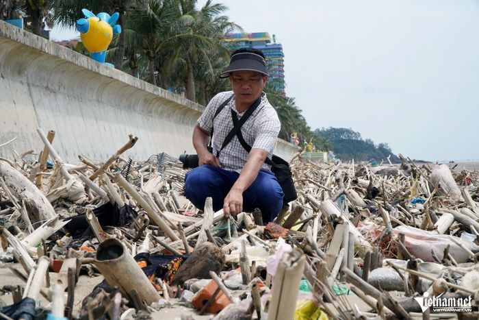 Các loại rễ cây, thân tre, luồng cắm sâu dưới lòng đất