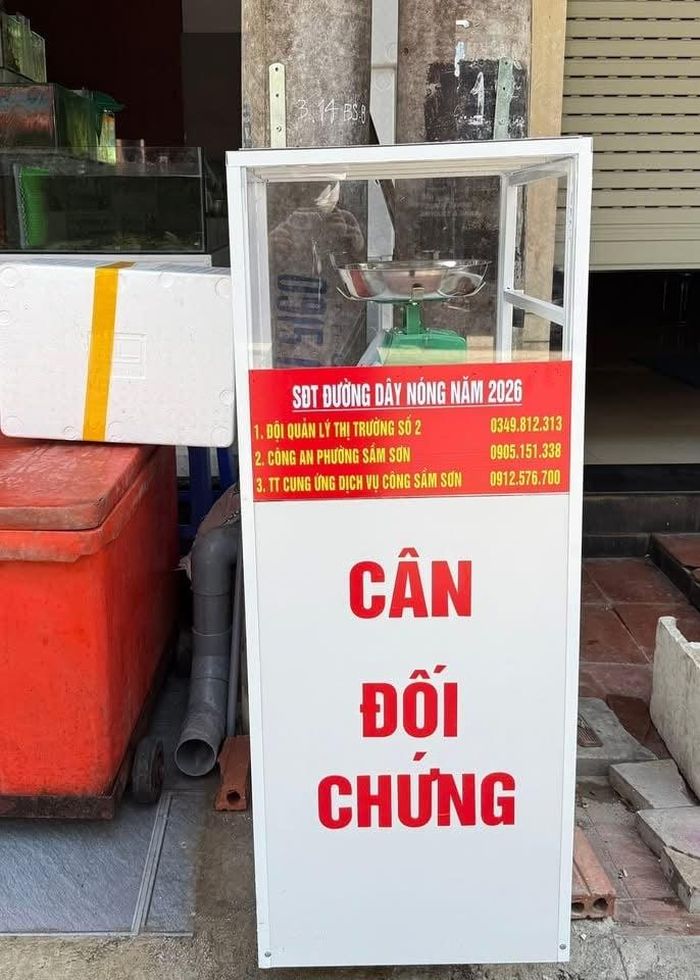 Số điện thoại đường dây nóng được "đính kèm" cân đối chứng. Ảnh: TTTT phường Sầm Sơn