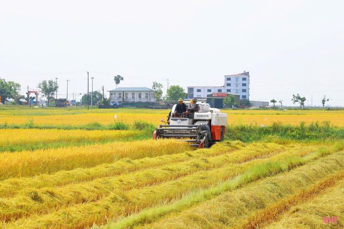  Ông Lê Đình Khánh - Phó Trưởng phòng Kinh tế, UBND xã Đồng Tiến cho biết: “Xã đã thông báo, chủ động kết nối với 25 chủ máy gặt trên địa bàn nhằm ổn định giá theo mặt bằng chung; đồng thời liên kết với thương lái, doanh nghiệp để đẩy mạnh thu mua lúa tươi, góp phần ổn định đầu ra cho bà con nông dân. Trước mắt, đã có doanh nghiệp vào thu mua gần 60 tấn lúa tại vùng sản xuất tập trung của xã”. 