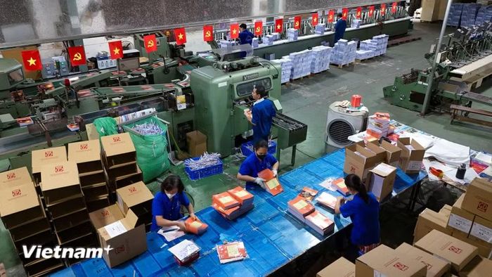 Đối với các sách cùng tên đã in từ năm 2025 trở về trước, Nhà xuất bản Giáo dục Việt Nam không tiếp tục phát hành. Tuy nhiên, giáo viên và học sinh vẫn có thể sử dụng các bản sách này làm tài liệu tham khảo. (Ảnh: Hoài Nam/Vietnam+)