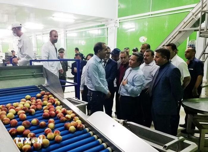 Đoàn công tác của Đại sứ quán Việt Nam tại Algeria thăm một doanh nghiệp địa phương tại tỉnh Médeá ,cách thủ đô Algiers gần 100km về phía Nam. (Ảnh: Tấn Đạt/TTXVN)