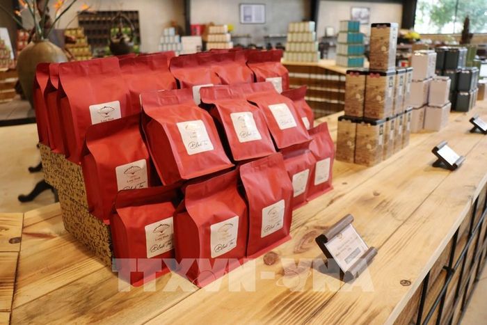 Các sản phẩm trà ô long được trưng bày trong Bảo tàng Trà Long Ðỉnh (phường Xuân Trường - Đà Lạt, tỉnh Lâm Đồng). Ảnh: Nguyễn Thành – TTXVN