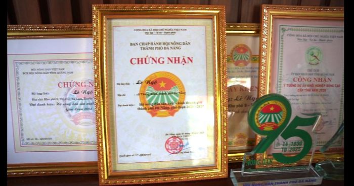 Nhiều lần anh được lãnh đạo tặng giấy khen. Ảnh: NGUYỄN QUỲNH