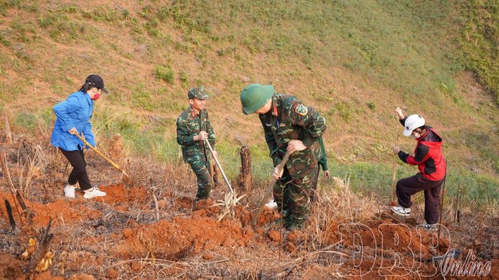 Toàn xã Na Sang hiện đã đào gần 267 nghìn hố trồng cây cà phê, mắc ca, tương đương khoảng 56% kế hoạch.
