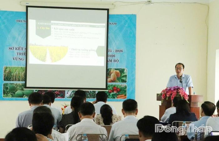 Quang cảnh hội nghị.