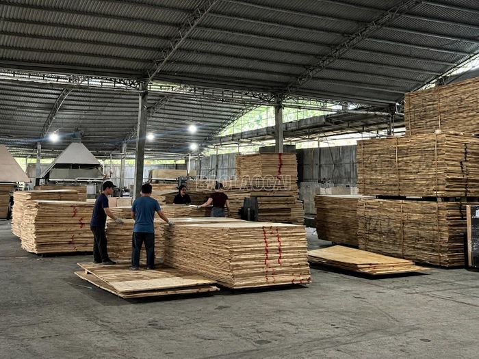 Trên địa bàn xã có nhiều xưởng chế biến gỗ rừng trồng quy mô lớn.