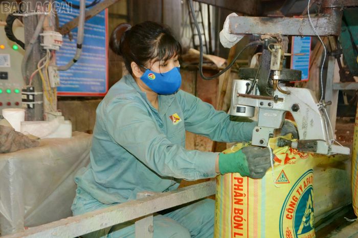 Đoàn viên, người lao động trong tỉnh tích cực hưởng ứng các phong trào thi đua yêu nước.