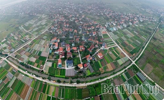 Làng rau Tứ Xã nhìn từ trên cao.
