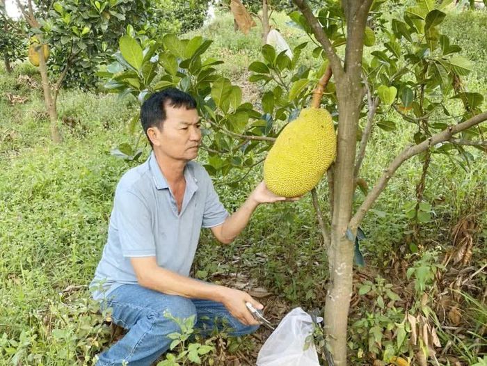 Nông dân xã Bố Trạch tích cực lao động, sản xuất - Ảnh: L.M