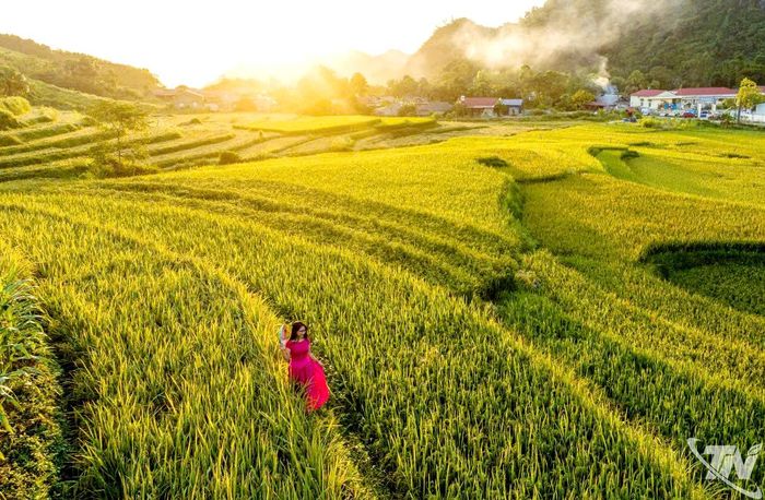 Ruộng lúa bậc thang ở Bản Tèn, xã Văn Lăng.