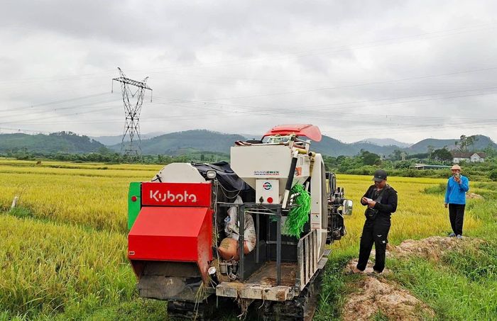 Trưởng Công an xã Đồng Lộc cũng chia sẻ thêm, trước đó đơn vị cũng đã thường xuyên tuyên truyền đến các đơn vị có máy gặt về việc không được ép giá, đặc biệt trong những lúc khó khăn, thiên tai để đảm bảo an ninh trật tự trên địa bàn