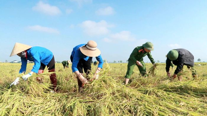 Gia đình anh Nguyễn Trọng Sơn và vợ là chị Nguyễn Thị Tâm, trú tại thôn Trung Long, xã Đồng Lộc, thuộc diện đặc biệt khó khăn. Anh Sơn không may mắc bệnh ung thư phổi, vừa trải qua phẫu thuật, sức khỏe suy giảm nghiêm trọng, không còn khả năng lao động nặng