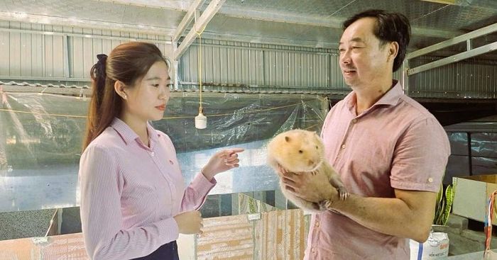 Trại nuôi dúi của anh Đặng Bá Nghĩa (phải) - một trong những mô hình chăn nuôi hiệu quả ở Lao Bảo.