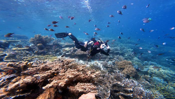 Lặn biển ở vịnh Nha Trang. Ảnh minh họa.