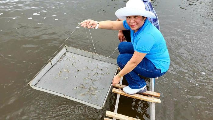 Bà Mai Xuân Hương trực tiếp đến mô hình để hỗ trợ người dân, hướng dẫn thực hiện đúng quy trình, kỹ thuật, góp phần nâng cao hiệu quả sản xuất.