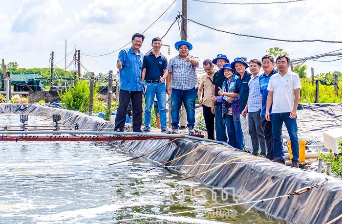 Bà Mai Xuân Hương (thứ 5 từ phải sang) cùng đoàn đến tham quan mô hình thực tế.