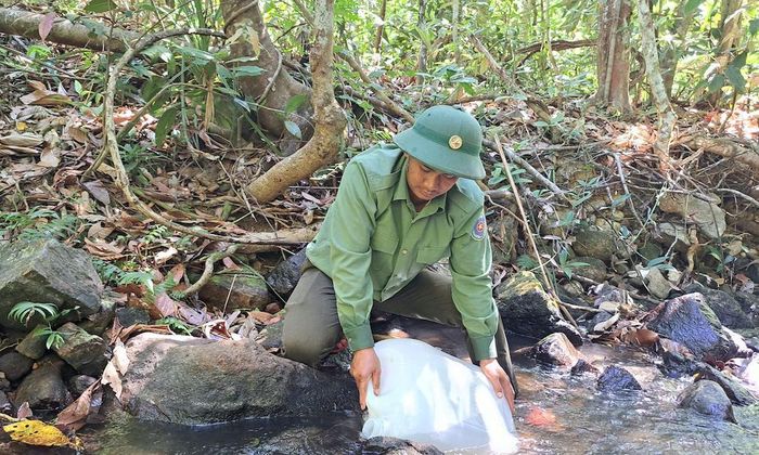 Nam bảo vệ rừng lấy nước từ suối sau đó khiêng về trạm.