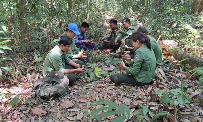 Nghỉ ngơi trong lúc tuần tra rừng.