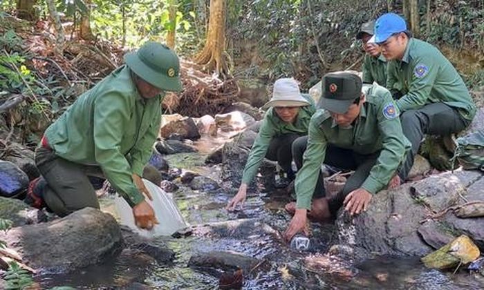 Nhân viên bảo vệ rừng Vườn Quốc gia Chư Mom Ray vào rừng lấy nước suối về dùng.