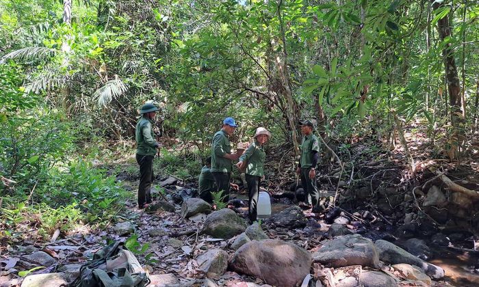 Con suối cách trụ sở Trạm bảo vệ rừng Sa Thầy gần 2km đường rừng.