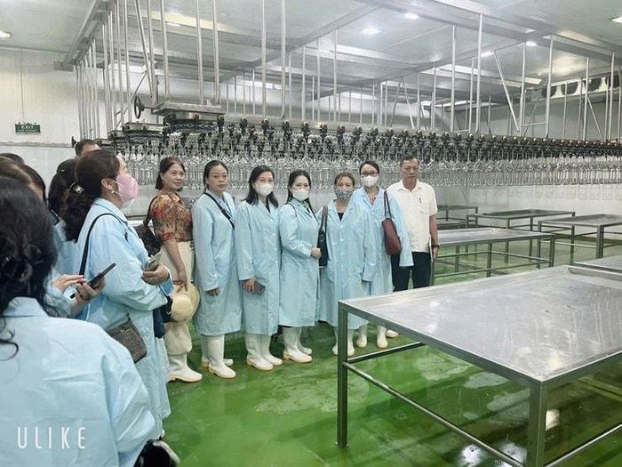 Một số trường mầm non, tiểu học trên địa bàn xã Đại Xuyên đến tận các đơn vị cung cấp thực phẩm để kiểm tra sản phẩm nấu ăn cho học sinh. Ảnh: TN