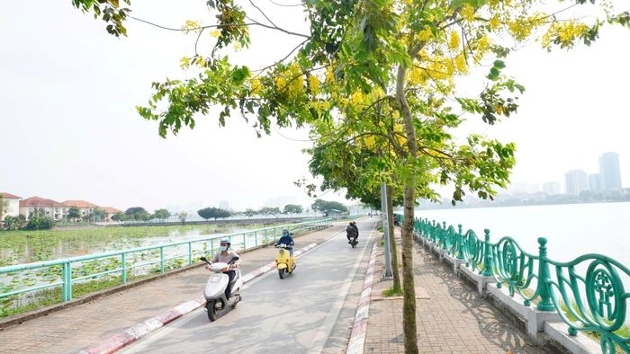 Những mùa hoa đang về. Ảnh: Phạm Mạnh