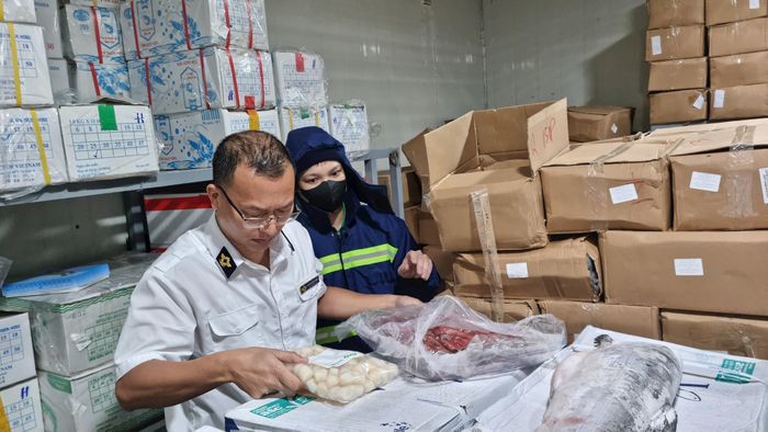 Lực lượng chức năng kiểm tra nguồn gốc xuất xứ hàng hóa tại kho bảo quản lạnh của Công ty TNHH sản xuất và xuất nhập khẩu thực phẩm xanh (phường Long Biên). Ảnh: Ánh Dương