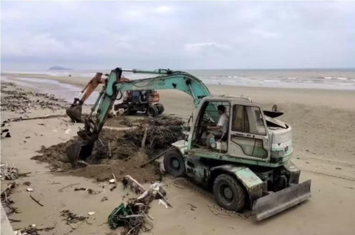  Máy múc, xe cơ giới đào, vận chuyển cành, gốc cây vùi dưới cát. 