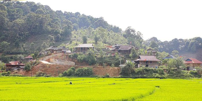 Bản làng xã Mường Phăng ngày càng khởi sắc. Ảnh: Phan Quân - TTXVN