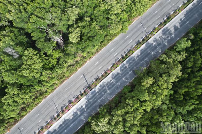 Khi hoàn thành, dự án được kỳ vọng sẽ tạo động lực phát triển kinh tế-xã hội mạnh mẽ cho khu vực ven biển phía nam thành phố, đồng thời tăng cường khả năng liên kết với các địa phương trong vùng Đông Nam Bộ.