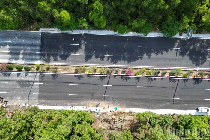 Tuyến metro dự kiến đi qua một phần khu vực rừng phòng hộ Cần Giờ. Tuy nhiên, theo phương án điều chỉnh, hướng tuyến được thiết kế tránh khu rừng loại I, chủ yếu bám theo các trục giao thông hiện hữu và đi qua khu vực phục hồi sinh thái, bảo tồn, không xâm lấn vùng lõi Khu dự trữ sinh quyển Cần Giờ.