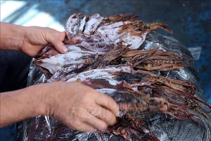 Mực khô do ngư dân Quảng Ngãi đánh bắt.