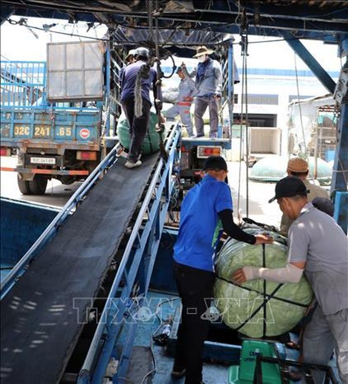 Các kiện mực khô được đóng gói sẵn trên tàu để xuất bán.
