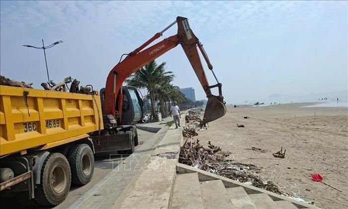 Rác, cành cây, gốc cây được thu ghom thành từng đống, sau đó các xe chuyên dụng vận chuyển đi xử lý.