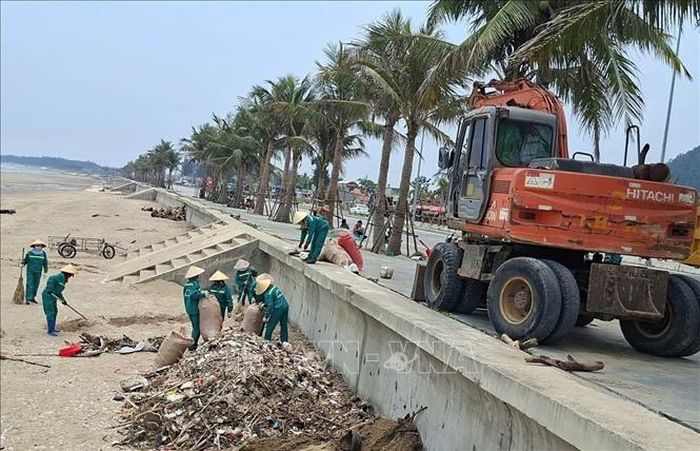 Công nhân công ty Môi trường đang khẩn trương thu gom, tập kết cành cây, gốc cây lại thành các đống lớn trên bãi cát.