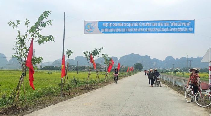 Tuyến đường được trồng với 100 cây bằng lăng dài 1km