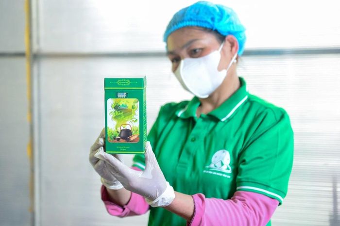 Sản phẩm hoàn thiện được đóng gói bằng công nghệ hút chân không, dán tem truy xuất nguồn gốc. Bao bì được đầu tư bài bản, góp phần nâng tầm chè Bình Sơn từ nông sản thô thành hàng hóa mang thương hiệu.