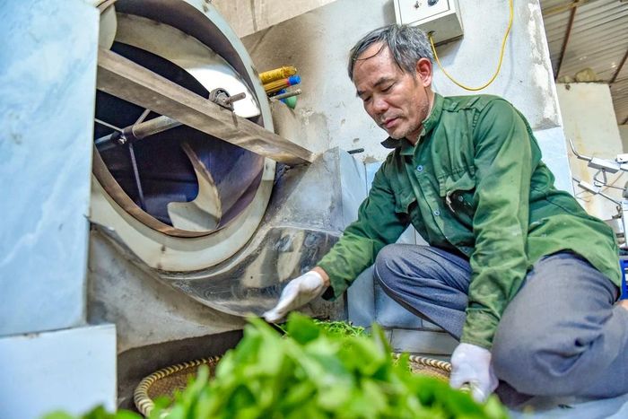 Là người gắn bó với vùng đất này từ năm 1995, ông Lê Đình Tú, Giám đốc HTX Dịch vụ Nông lâm nghiệp Bình Sơn, hiểu rõ những thăng trầm của cây chè. Theo ông, muốn cây chè “sống khỏe” thì không thể tiếp tục cách làm cũ.