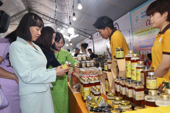 Đại biểu tham quan các gian hàng.