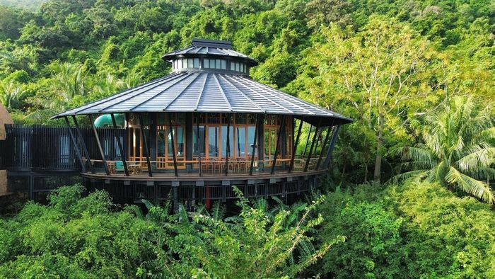 Tingara mang đến hành trình ẩm thực Nhật Bản đương đại giữa thiên nhiên, nơi các trải nghiệm lễ hội được thể hiện qua kỹ nghệ, mùa vụ và tinh thần sáng tạo. Ảnh: danangfantasticity