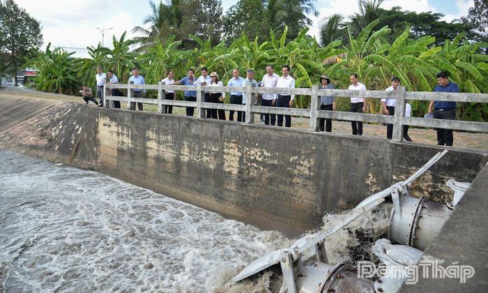 Đoàn khảo sát tại Trạm bơm Bình Phan (xã An Thạnh Thủy).