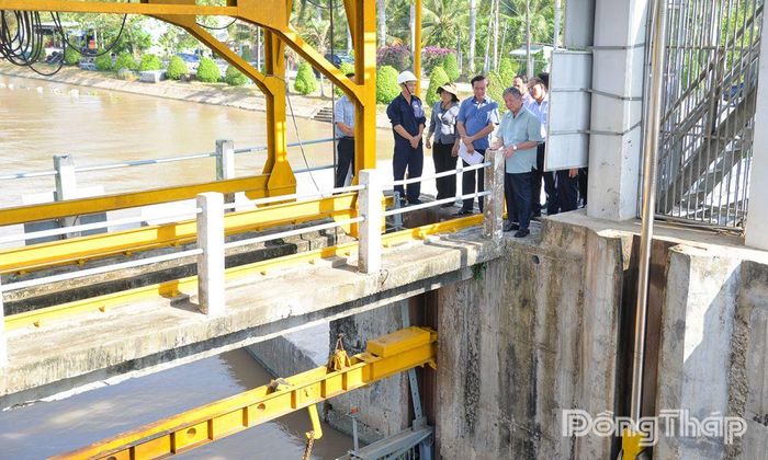 Đoàn khảo sát tại cống Xuân Hòa (xã Bình Ninh).