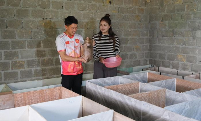 Mô hình nuôi dúi má đào có liên kết mang lại thu nhập cao cho người dân bản Hô Ta (xã Mường Khoa).